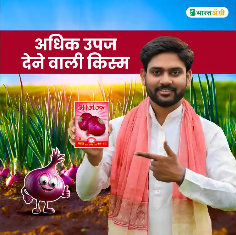 Anand Biotech N-53( Nashik Red) Onion Seeds