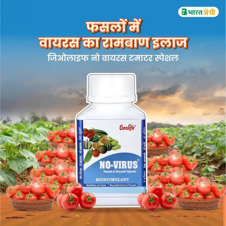 Geolife No Virus Tomato Special (1+1 Free)