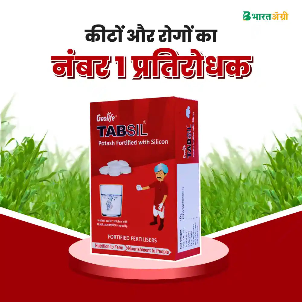 Geolife Tabsil Potash Fortified with Silicon (1+1 Free)