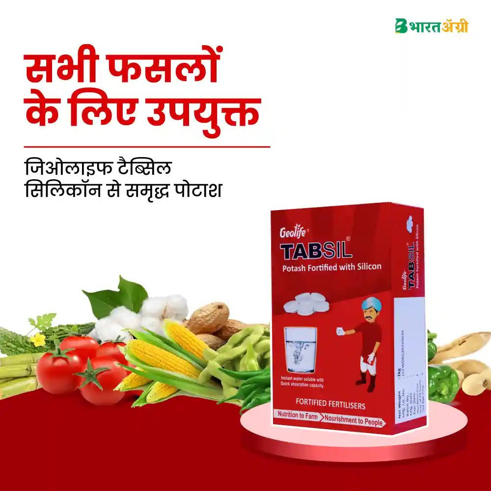 Geolife Tabsil Potash Fortified with Silicon (1+1 Free)