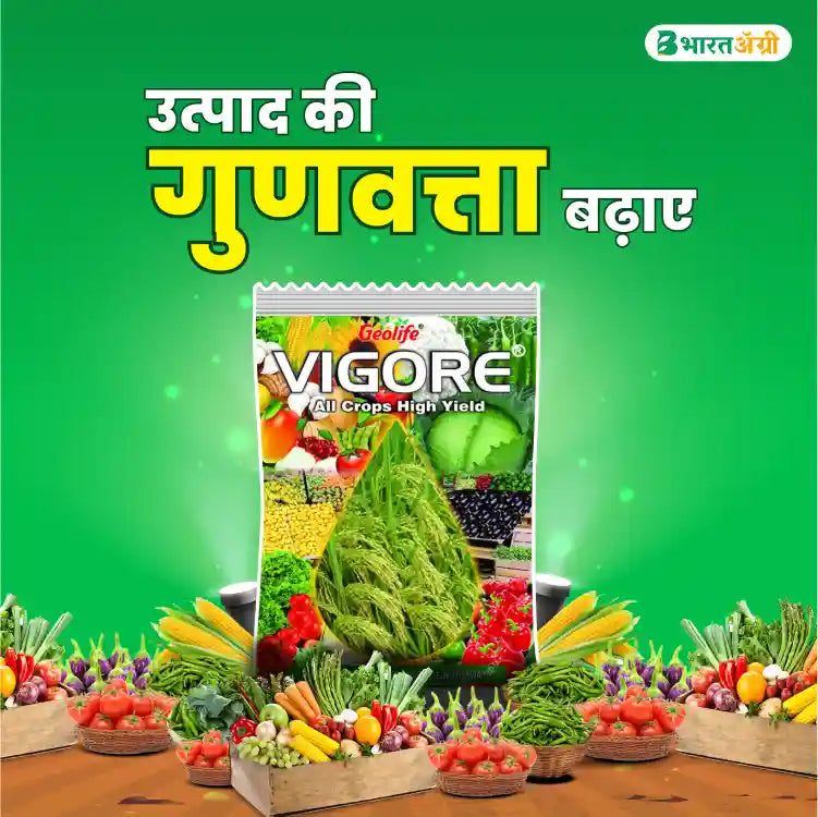 Geolife Vigore Biostimulant