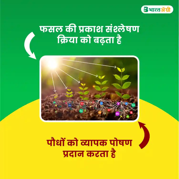 Geolife Vigore Biostimulant