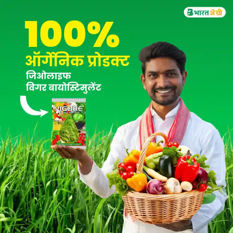 Geolife Vigore Biostimulant