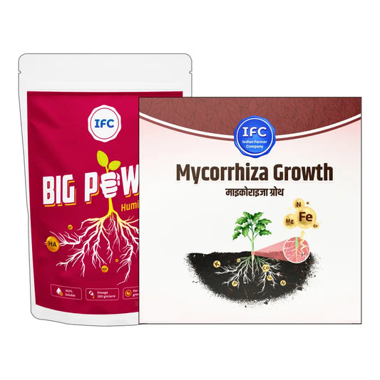 IFC Big Power (200 gm) + IFC Mycorrhiza Growth VAM (100 gm) Combo