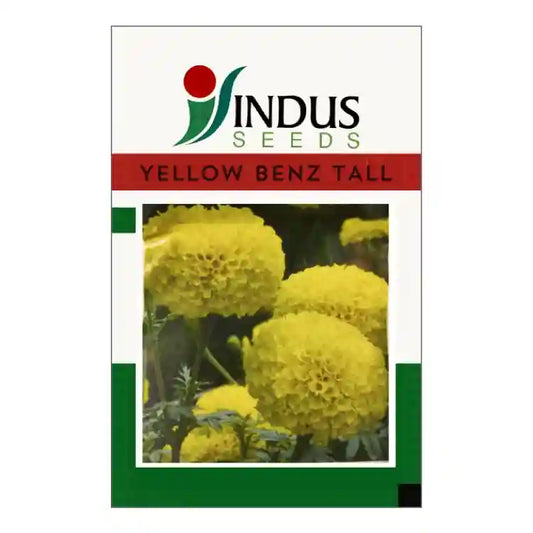 Indus Yellow Benz Tall Marigold Seeds