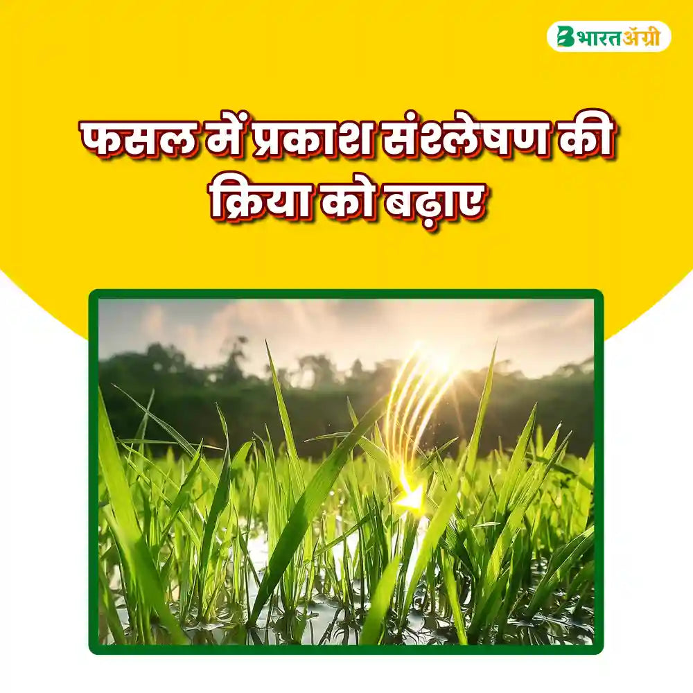 Katyayani Activated Humic Acid + Fulvic Acid