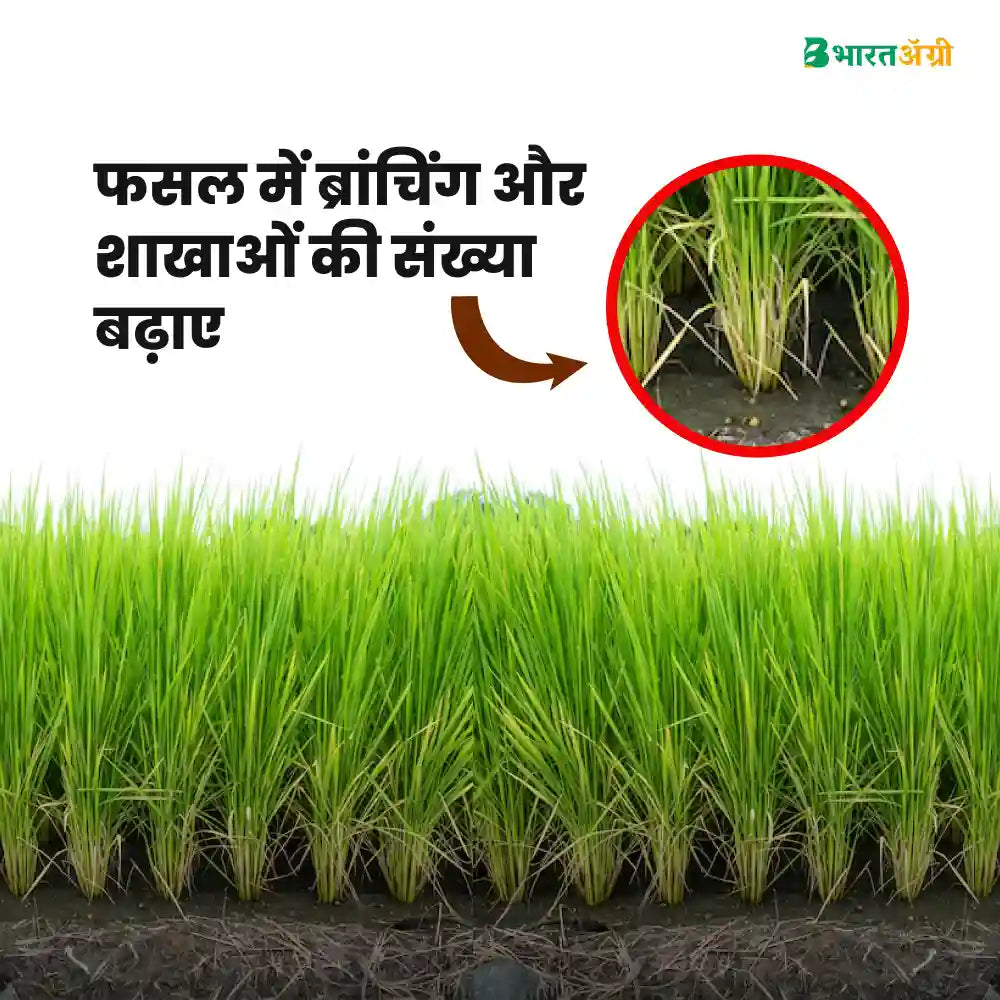 Katyayani Activated Humic Acid + Fulvic Acid