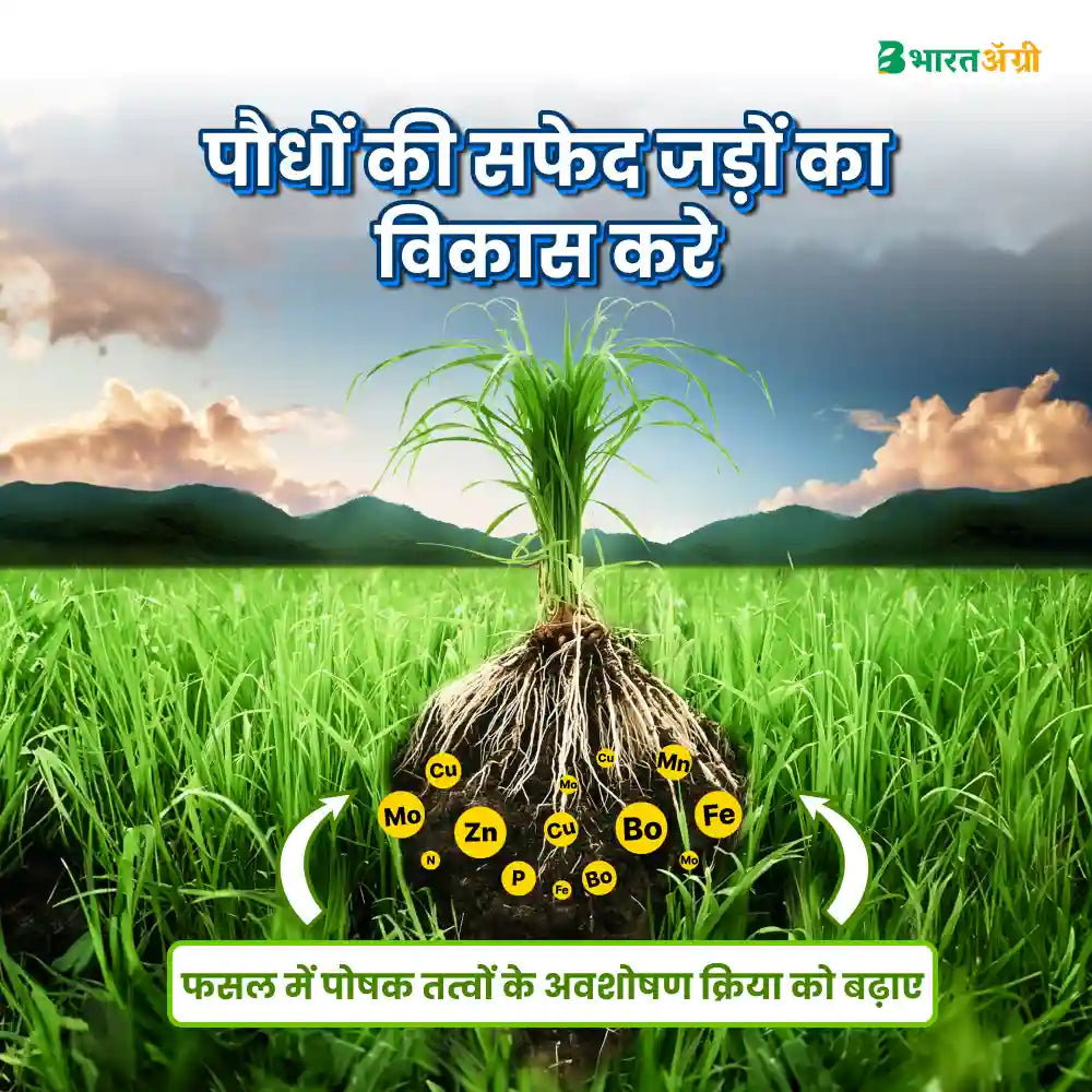 Katyayani Activated Humic Acid + Fulvic Acid