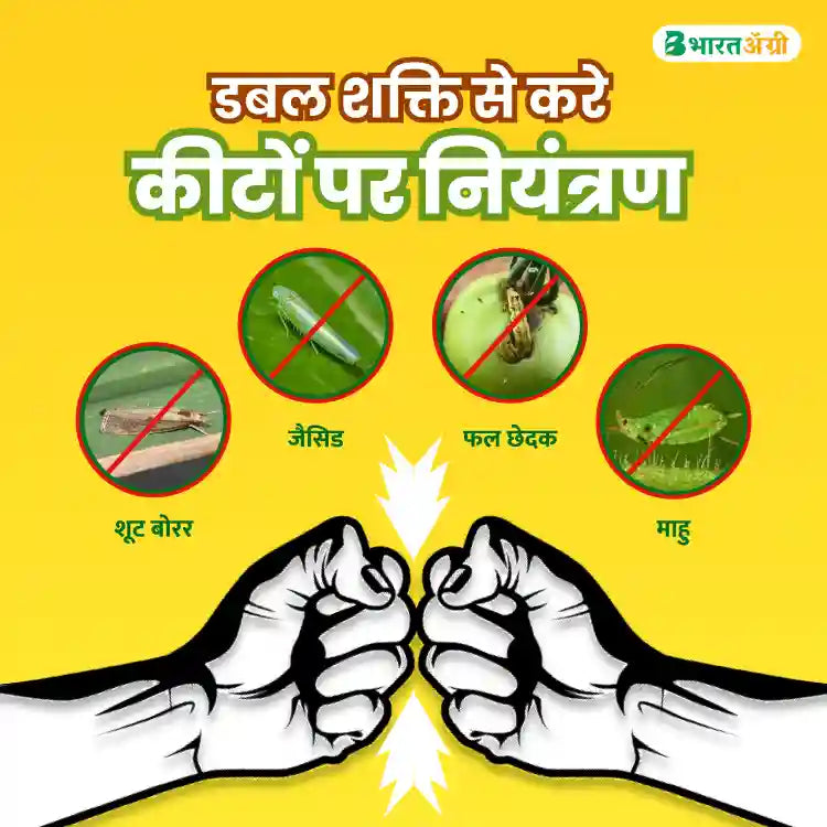 IFC Neem Power Plus (Neem oil One Lakh PPM) Bio Pesticide (1+1 Free)