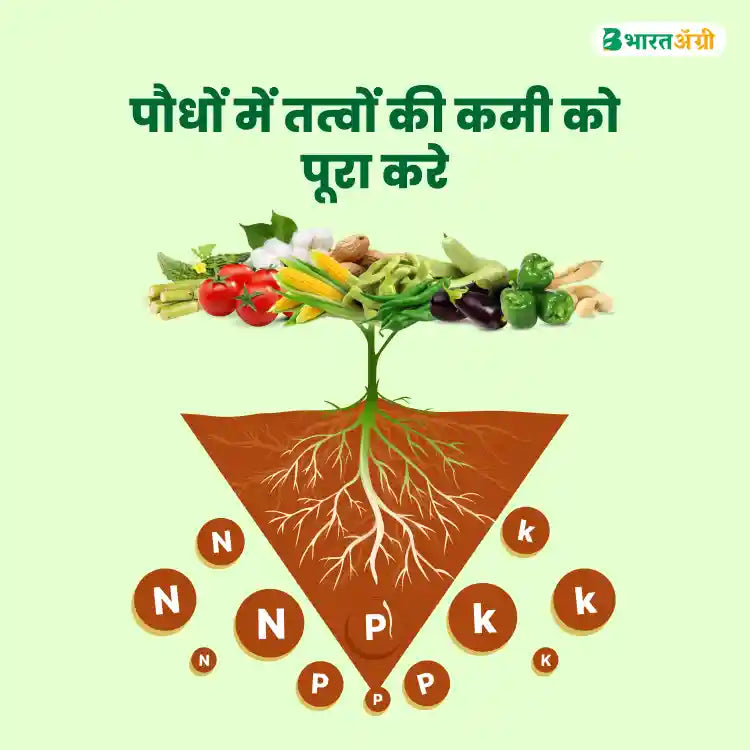 PI Industries Biovita (Liquid Seaweed Extract) Plant Growth Promoter