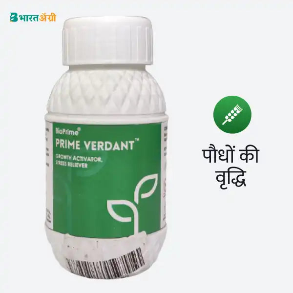Geolife Flowering Kit (51 gm) + Bioprime, Prime Verdant (100 ml)