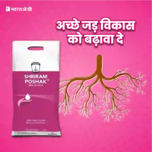 Shriram Poshak ( NPK 19:19:19) Fertilizer