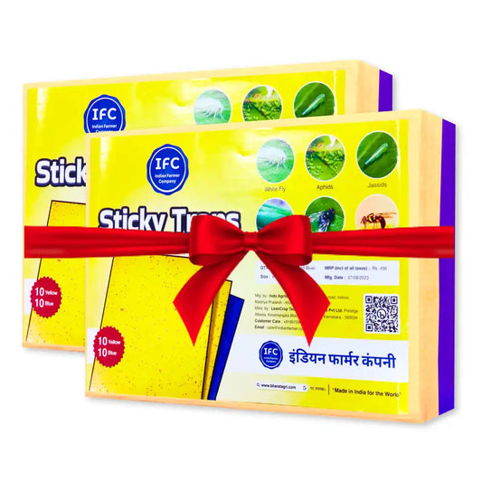 IFC Sticky Trap (10 Yellow, 10 Blue) (1+1 Free)