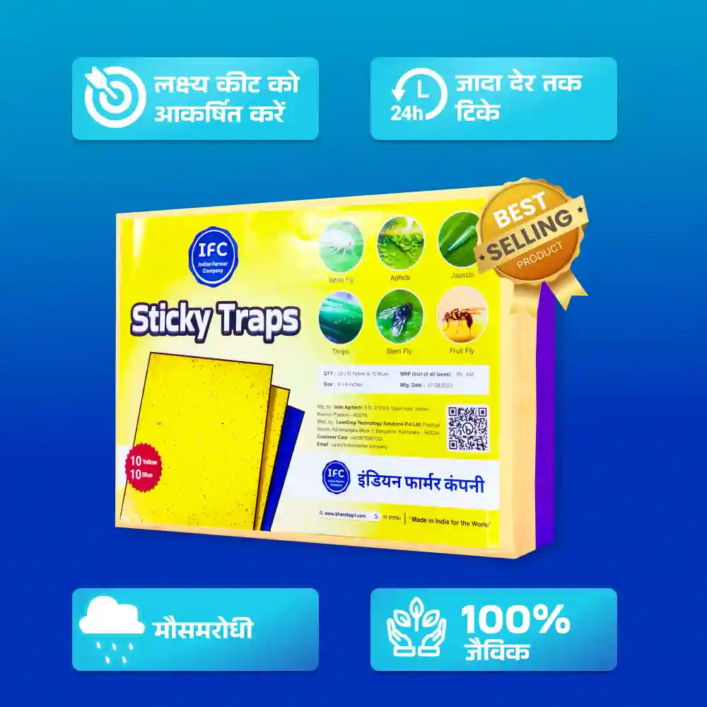 IFC Sticky Trap (10 Yellow, 10 Blue) (6 x 8 inch)