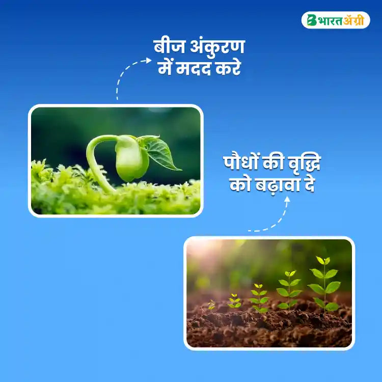 Sumitomo Progibb Easy Gibberellic Acid 40% Plant Growth Promoter