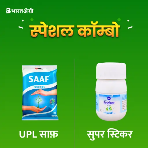 UPL Saaf Contact fungicide (250 gm) + IFC Super Sticker (40 ml)