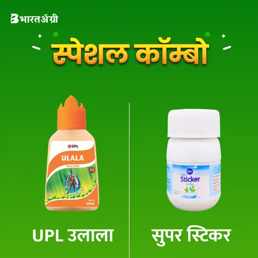 UPL Ulala (30 gm) + IFC Super Sticker (40 ml)