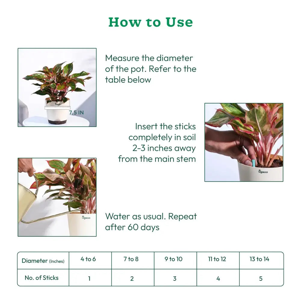 Ugaoo Plant Food Fertilizer Green Sticks for All Plants