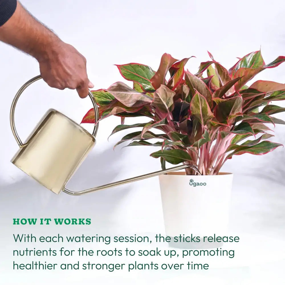 Ugaoo Plant Food Fertilizer Green Sticks for All Plants
