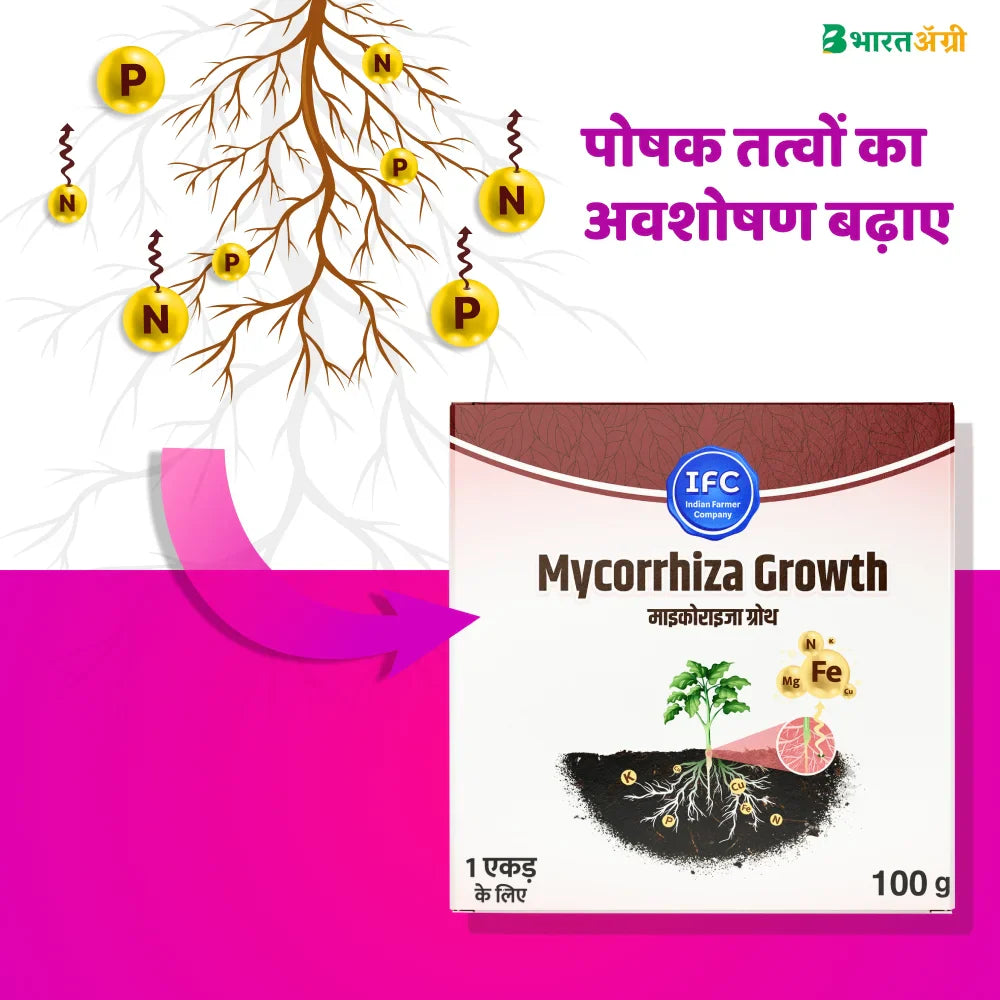 IFC Mycorrhiza Growth VAM (Vesicular Arbuscular Mycorrhiza)