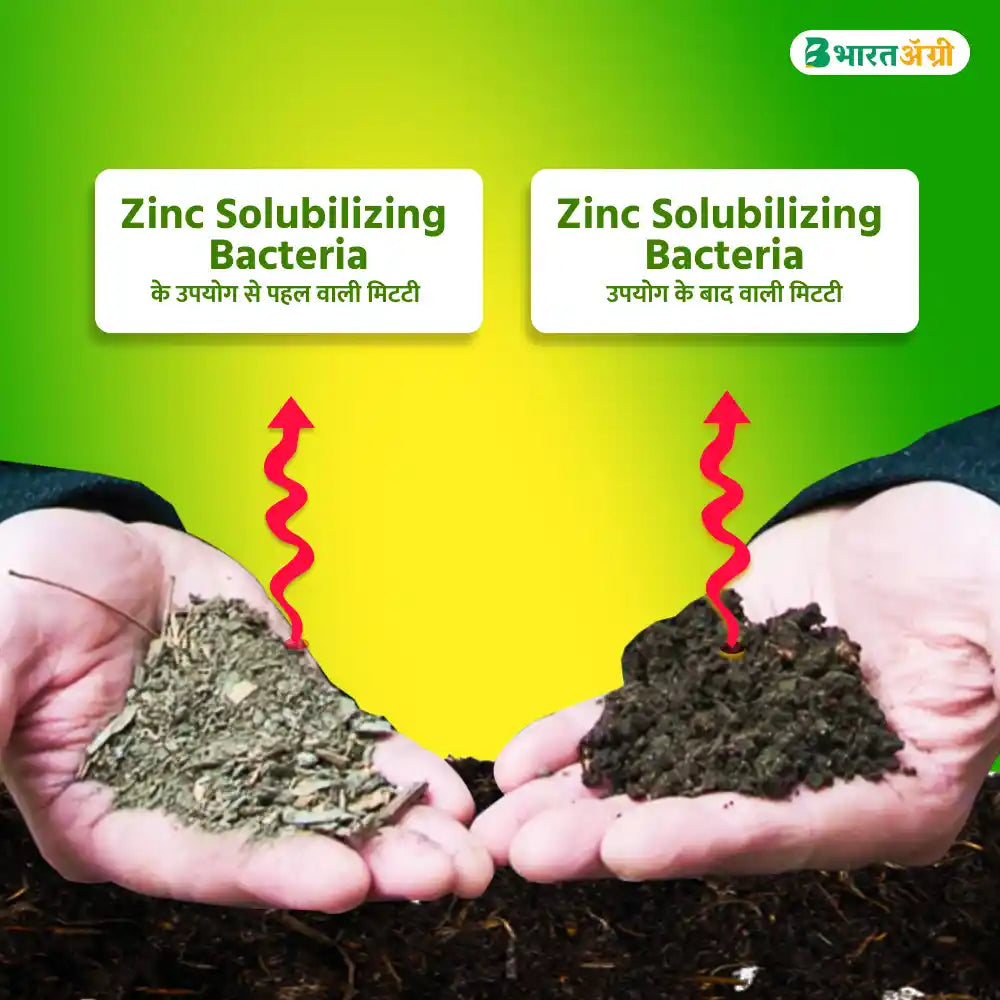 IFC Zinc Solubilizing Bacteria - 200 gm (1+1 फ्री)