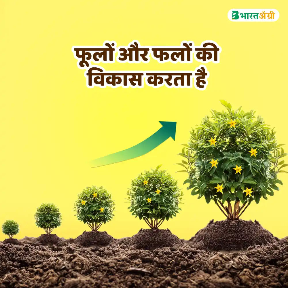 IFC Zinc EDTA 12% Fertilizer - 250 gm (1+1 Free)