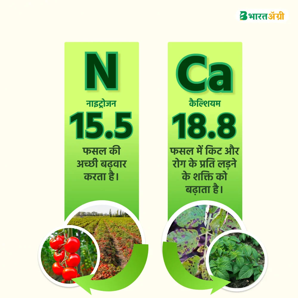 IFC Calcium Nitrate Water Soluble Fertilizer (1+1 Combo)