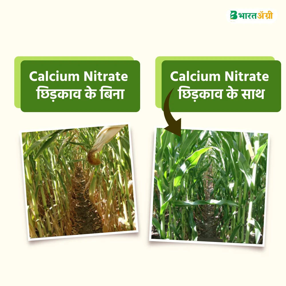 IFC Calcium Nitrate Water Soluble Fertilizer (1+1 Combo)