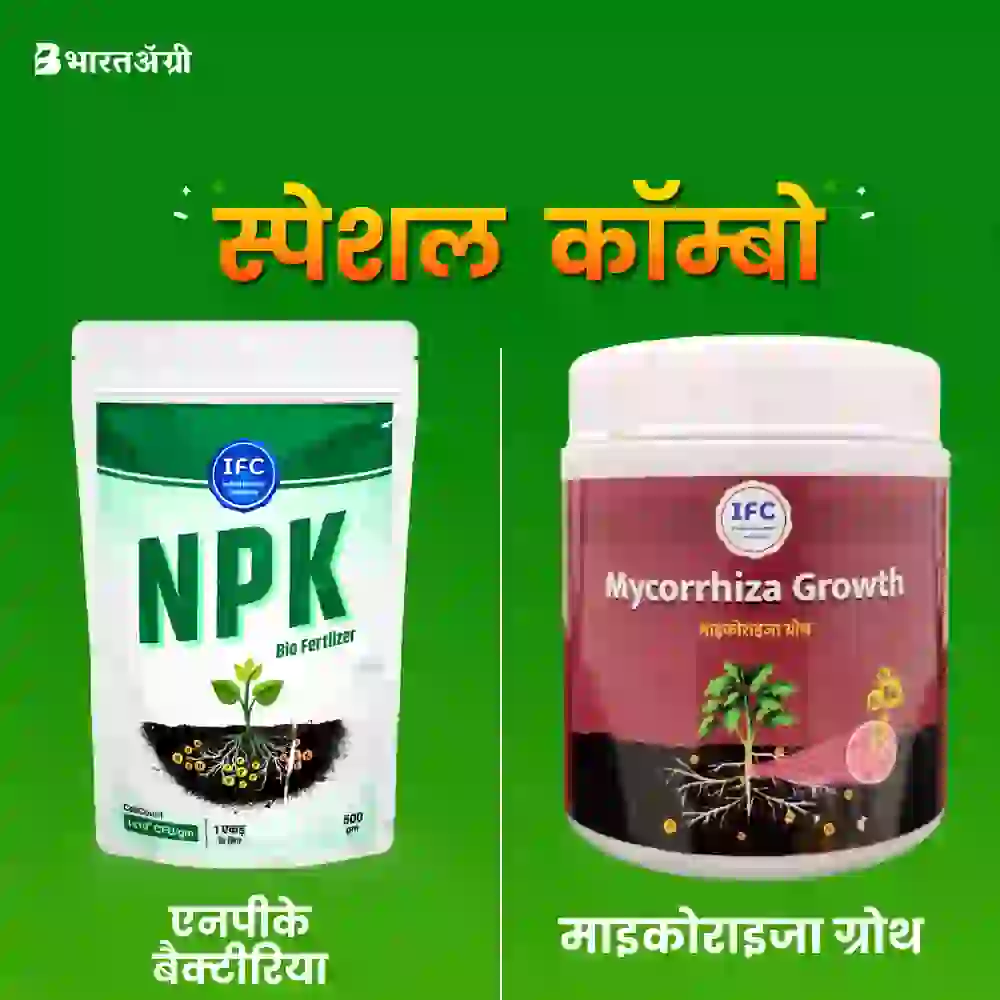 IFC NPK Bacteria (500gm) + IFC Mycorrhiza Growth (100gm)