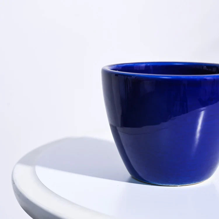 Ugaoo Apple Dark Blue Ceramic Pot