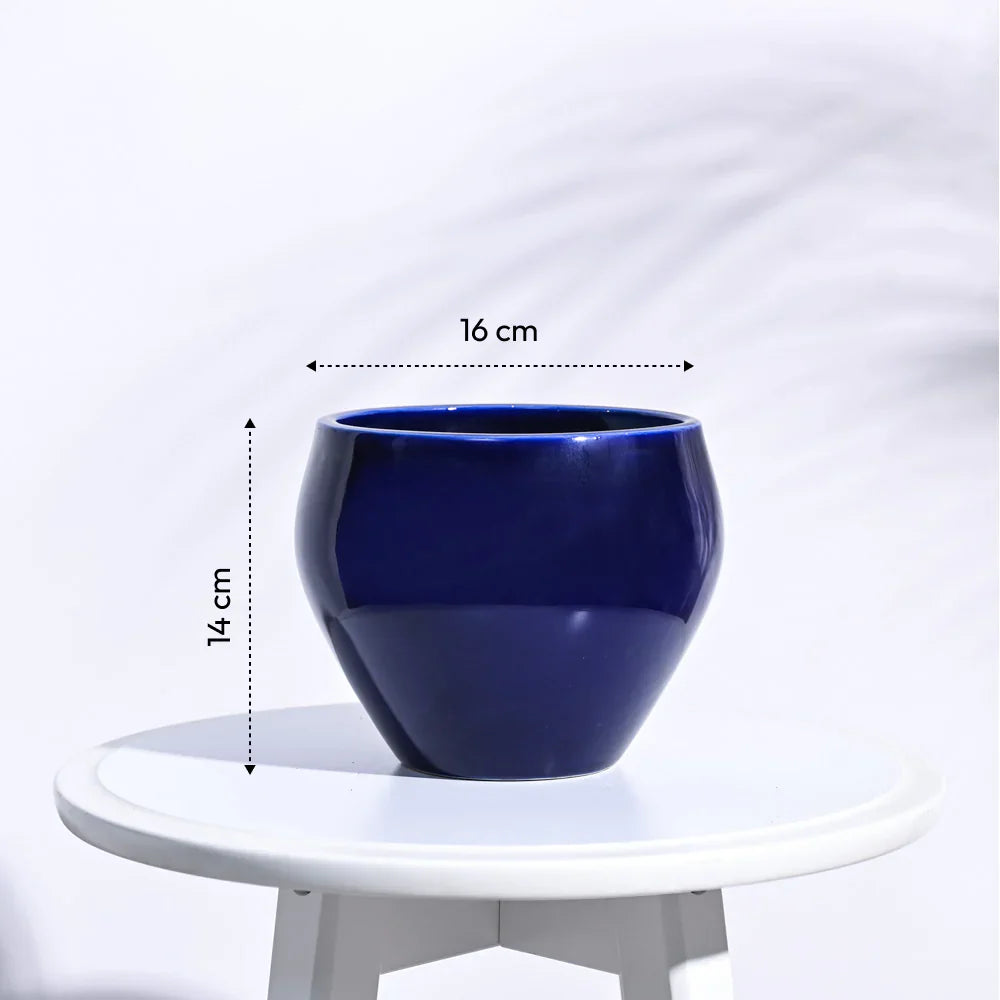 Ugaoo Apple Dark Blue Ceramic Pot