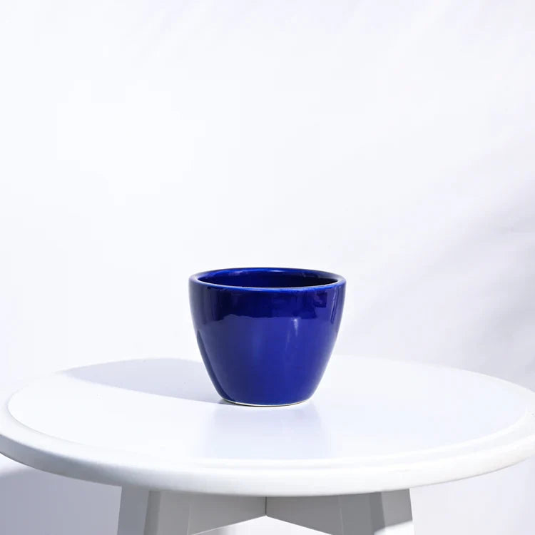 Ugaoo Apple Dark Blue Ceramic Pot