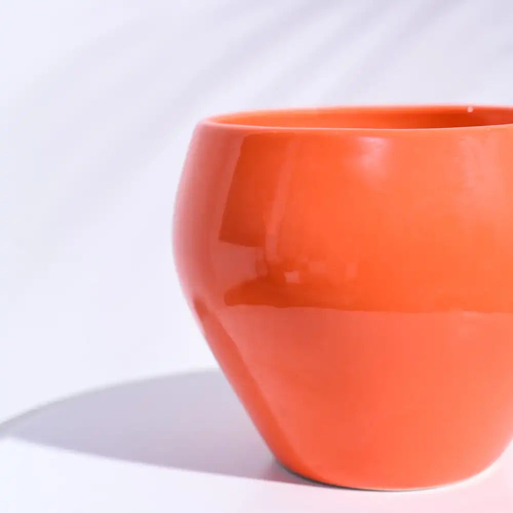 Ugaoo Apple Orange Ceramic Pot