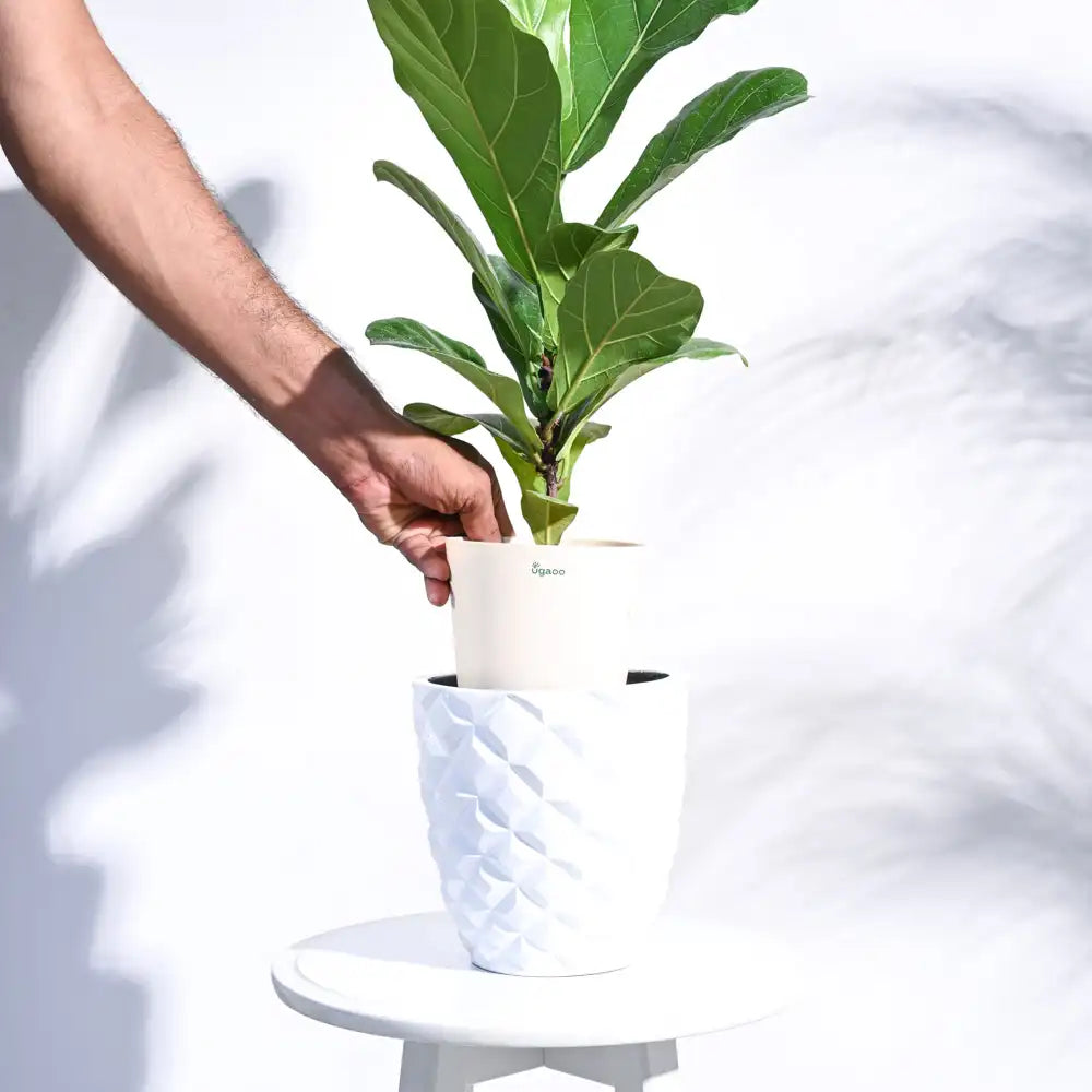 Ugaoo Planter Heraldry Vase Taper Round (White)