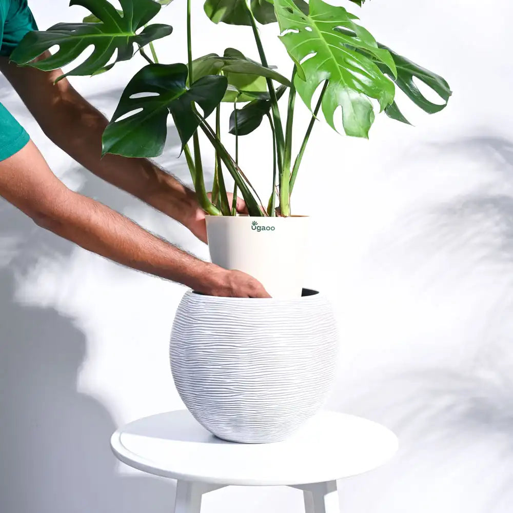 Ugaoo Planter Vase Ball Rib (Ivory)