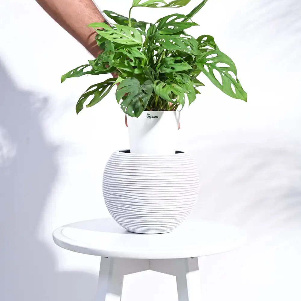 Ugaoo Planter Vase Ball Rib (Ivory)